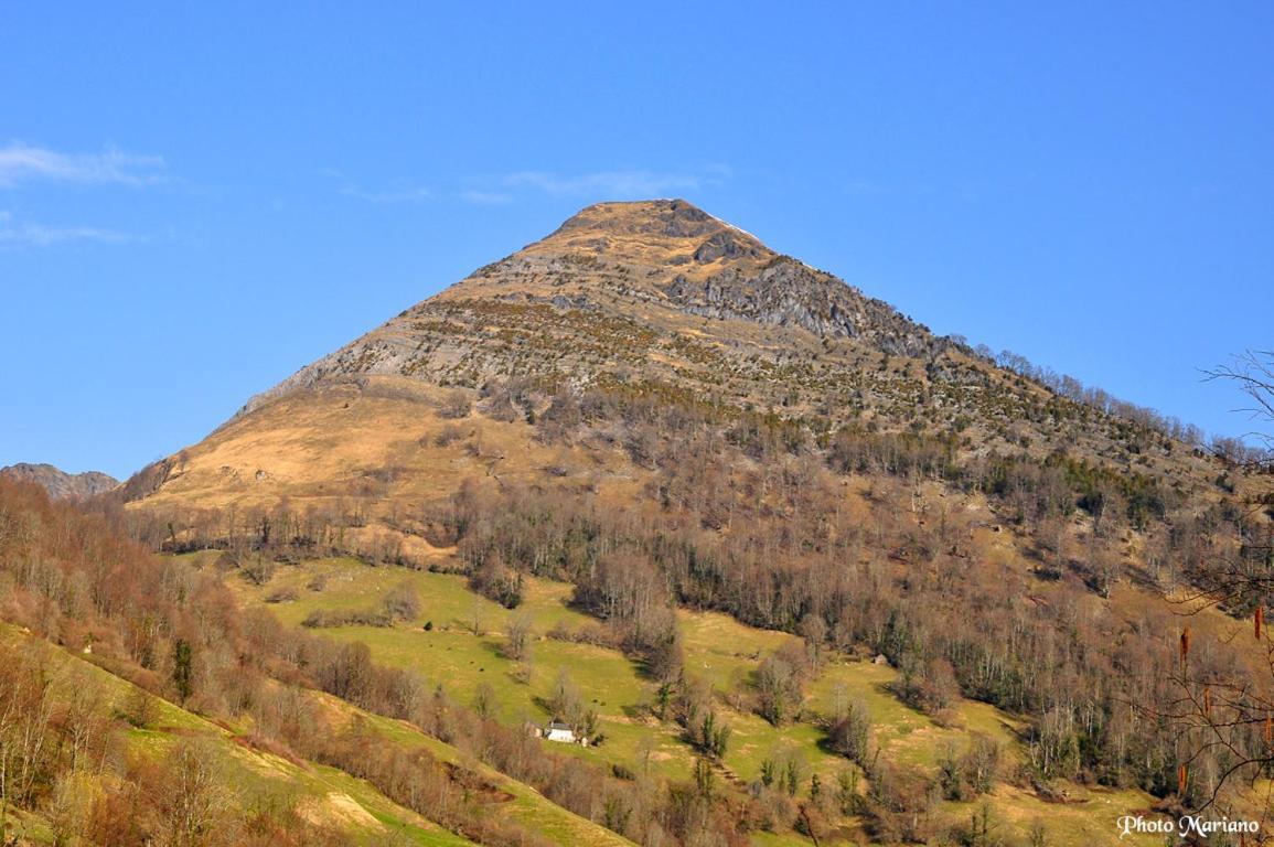 Gites Communaux A Lourdios Exterior photo