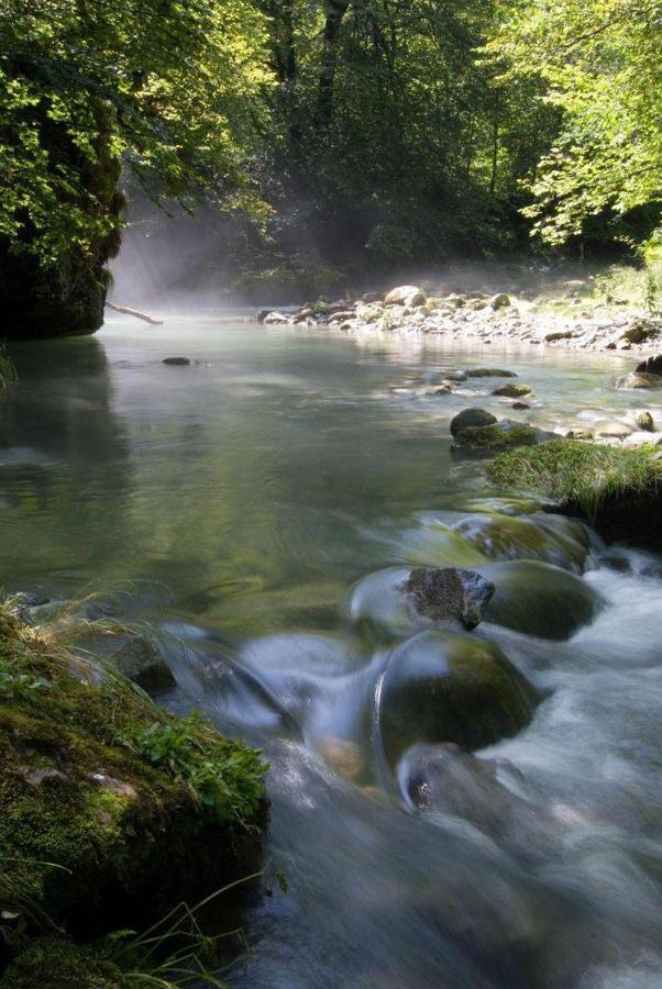 Gites Communaux A Lourdios Exterior photo